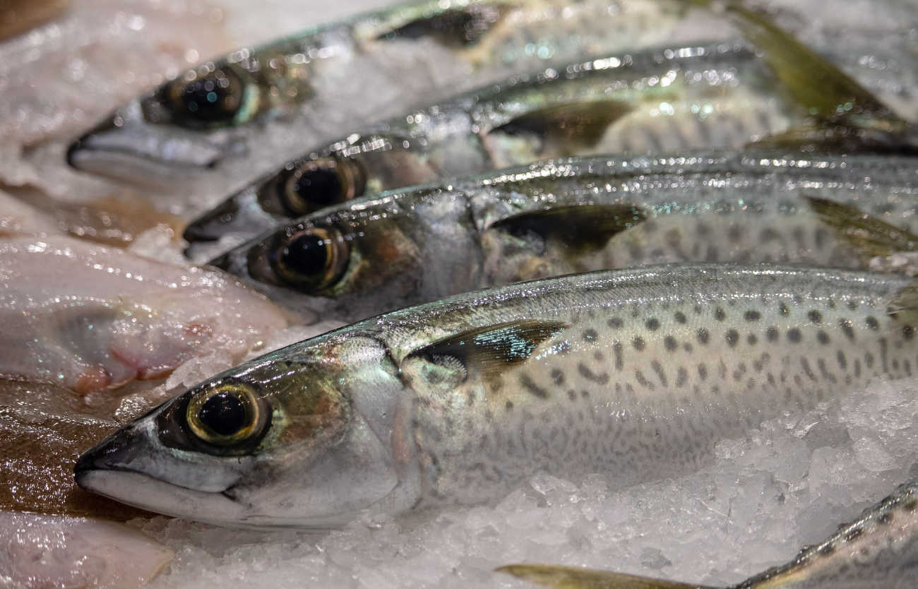 Fishmongers opens in Greenwich